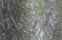 Hannington fibreglass roof work